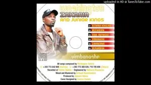 Washington Zakaria - VIMBANASHE Washington Zakaria - VIMBANASHE