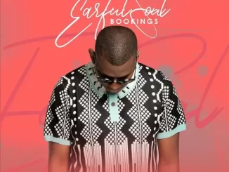 Earful Soul - The Vibe Cartel Mix Earful Soul – The Vibe Cartel Mix