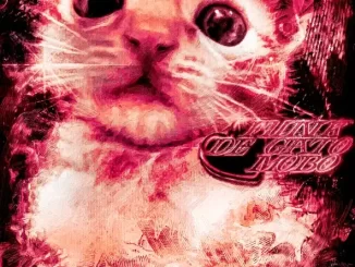 Album: Loomie & HXVSAGE - Funk De Gato Mobo - Single Funk De Gato Mobo Single