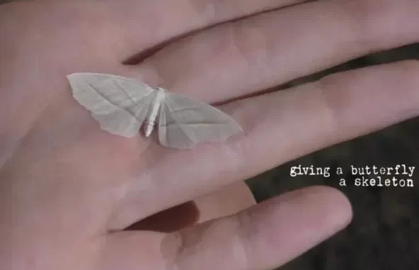 Giving a Butterfly a Skeleton EP Giving a Butterfly a Skeleton EP