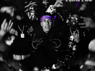 NLE Choppa - Shotta Flow 7 NLE Choppa Shotta Flow 7
