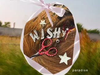 EP: Wishy - Paradise Paradise EP