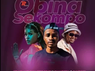 071 Nelly The MasterBeat - O Bina Sekompo ft Shandesh & Bayor97 Nelly The MasterBeat - O Bina Sekompo ft Shandesh & Bayor97