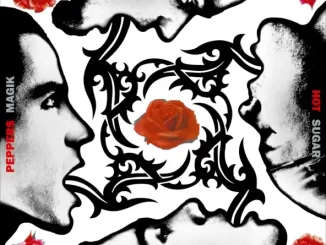 Album: Red Hot Chili Peppers - Blood Sugar Sex Magik Blood Sugar Sex Magik