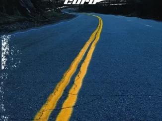Album: Nickelback - Curb Curb