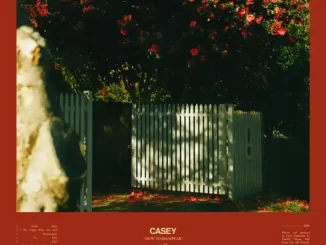 Album: Casey - How To Disappear How To Disappear