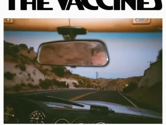 Album: The Vaccines - Pick-Up Full Of Pink Carnations Pick Up Full Of Pink Carnations