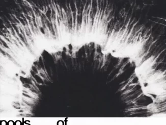 Album: junodream - Pools of Colour Pools of Colour