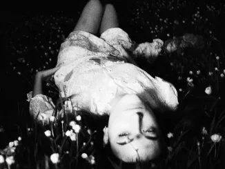 Album: Etta Marcus - The Death Of Summer & Other Promises The Death Of Summer & Other Promises