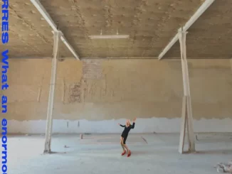 Album: TORRES - What an enormous room What an enormous room