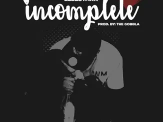 2Lee Stark - Incomplete 2Lee Stark – Incomplete