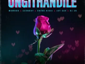 Baby Momo - Ungithandile ft. MaWhoo, Ceenday, Jay Sax & Shino Kikai Baby Momo – Ungithandile ft. MaWhoo, Ceenday, Jay Sax & Shino Kikai
