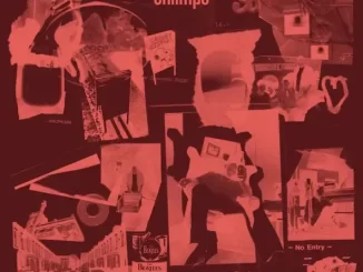 EP: Baba Shrimps - Best Days Best Days
