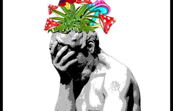 HOPIUMFORTHEMASSES HOPIUMFORTHEMASSES