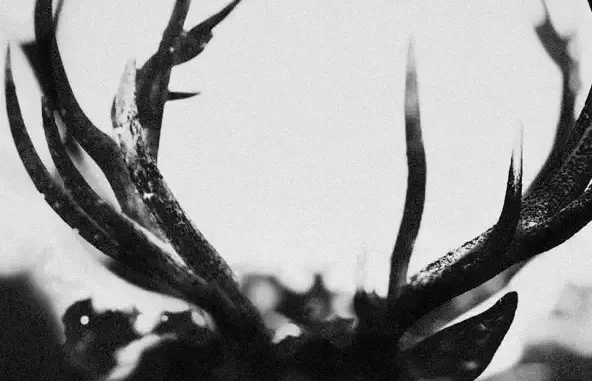 Ihsahn Ihsahn