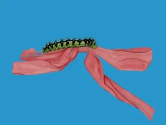 EP: John Glacier - Like a Ribbon Like a Ribbon