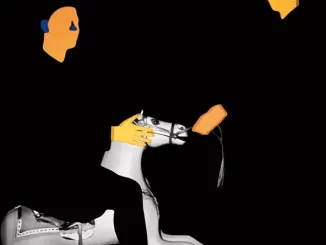 Album: MGMT - Loss Of Life Loss Of Life