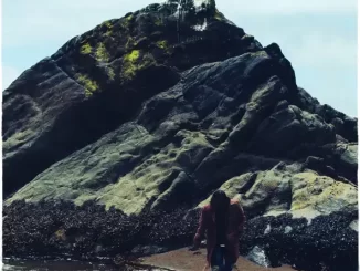 Zacari - Ocean Ocean