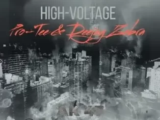 EP: Pro-Tee & Deejay Zebra - High Voltage Pro Tee & Deejay Zebra – High Voltage