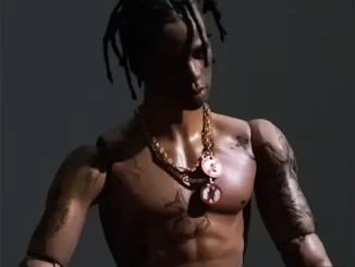 Travis Scott - Never Catch Me Rodeo