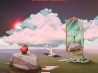 Album: levitation room - Strange Weather Strange Weather