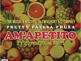 TNK MusiQ, Myztro & Xduppy - Am’apetito ft 2woshort & Stompiiey TNK MusiQ, Myztro & Xduppy – Am’apetito ft 2woshort & Stompiiey
