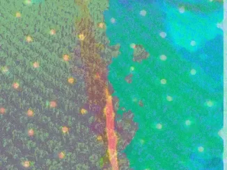 Album: Gulfer - Third Wind Third Wind