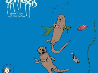 Album: J Mascis - What Do We Do Now What Do We Do Now