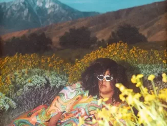 Album: Brittany Howard - What Now What Now