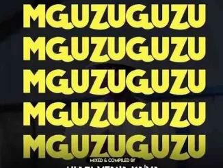 uLazi - MGUZUGUZU Vol. 21 (Strictly Infinity MusiQ) uLazi – MGUZUGUZU Vol. 21 Strict