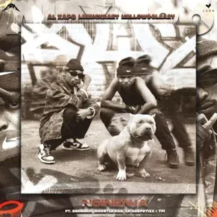 Al Xapo, LeeMcKrazy & Mellow & Sleazy – Nginenja Ft. Snenaah, Boontle RSA, LK DeepStixx & TPI Al Xapo, LeeMcKrazy & Mellow & Sleazy – Nginenja Ft. Snenaah, Boontle RSA, LK DeepStixx & TPI