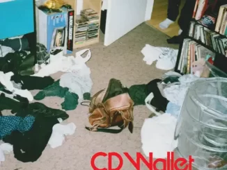 Album: HOMESHAKE - CD Wallet CD Wallet