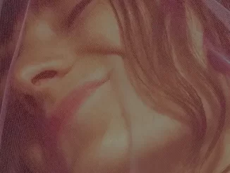 Album: Halo Maud - Celebrate Celebrate