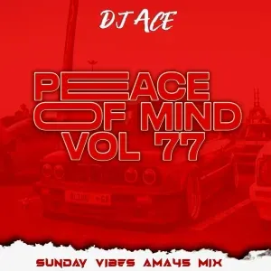 DJ Ace – Peace of Mind Vol 77 DJ Ace – Peace of Mind Vol 77