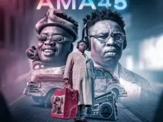 Album: DJ Manzo SA - Ama 45 DJ Manzo SA – Ama 45