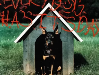 Album: Germ - EVERY DOG HAS ITS DAY EVERY DOG HAS ITS DAY Germ