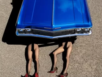 Album: The Veronicas - Gothic Summer Gothic Summer