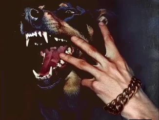 Trippie Redd - LWRW LWRW