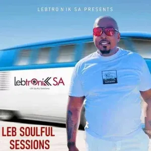 Lebtronik SA – LSS Instrumental Channel 4 Lebtronik SA – LSS Instrumental Channel 4