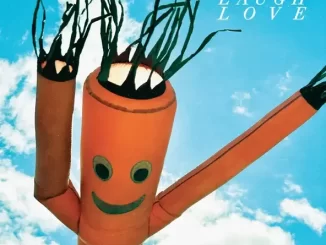 Album: Chastity Belt - Live Laugh Love Live Laugh Love