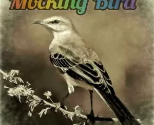 Luxury SA - Mocking Bird Luxury SA – Mocking Bird