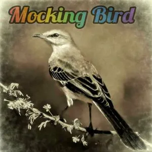 Luxury SA – Mocking Bird Luxury SA – Mocking Bird