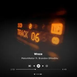MalumNator & Brandon Dhludhlu – Woza MalumNator & Brandon Dhludhlu – Woza