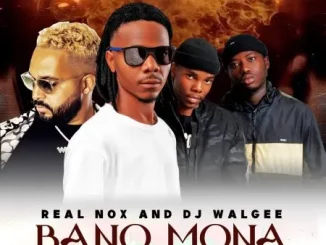 Real Nox - Bano Mona ft DJ Walgee, Daiza & Kota Native