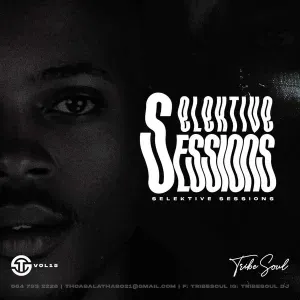 TribeSoul – Selektive Sessions 015 Mix TribeSoul – Selektive Sessions 015 Mix