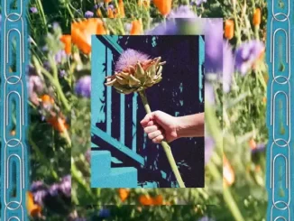 Album: Rosie Tucker - Utopia Now! Utopia Now!
