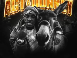YoungBoy Never Broke Again - Act A Donkey YoungBoy Never Broke Again Act A Donkey