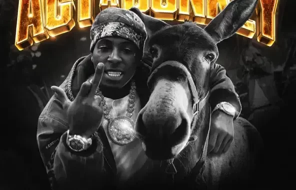 YoungBoy Never Broke Again Act A Donkey YoungBoy Never Broke Again Act A Donkey