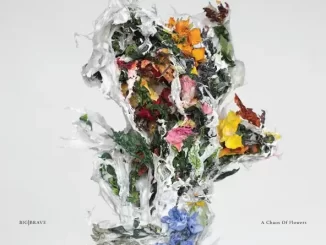 Album: Big Brave - A Chaos of Flowers A Chaos of Flowers