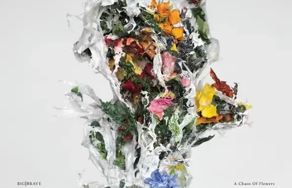 A Chaos of Flowers A Chaos of Flowers